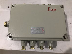 bjx51防爆接线箱,bjx dip粉尘防爆接线箱,bjx52防爆接线箱 bjx 10 20防爆接线箱 bjx 20 40防爆接线箱 价格 谷瀑环保