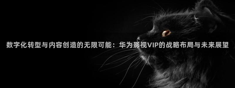橘子罐头的做法视频：数字化转型与内容创造的无限可能：华为影视VIP的战略布局与未来展望