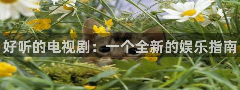 新橘子视频怎么下载：好听的电视剧：一个全新的娱乐指南