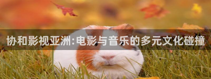 橘子与橙子：协和影视亚洲:电影与音乐的多元文化碰撞