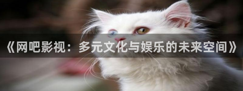 苹果橘子视频：《网吧影视：多元文化与娱乐的未来空间》