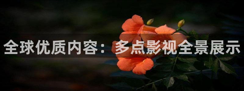 在线视频橘子：全球优质内容：多点影视全景展示