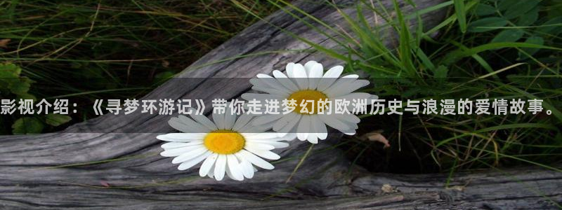 橘子影视在哪下载：影视介绍：《寻梦环游记》带你走进梦幻的欧洲历史与浪漫的爱情故事。